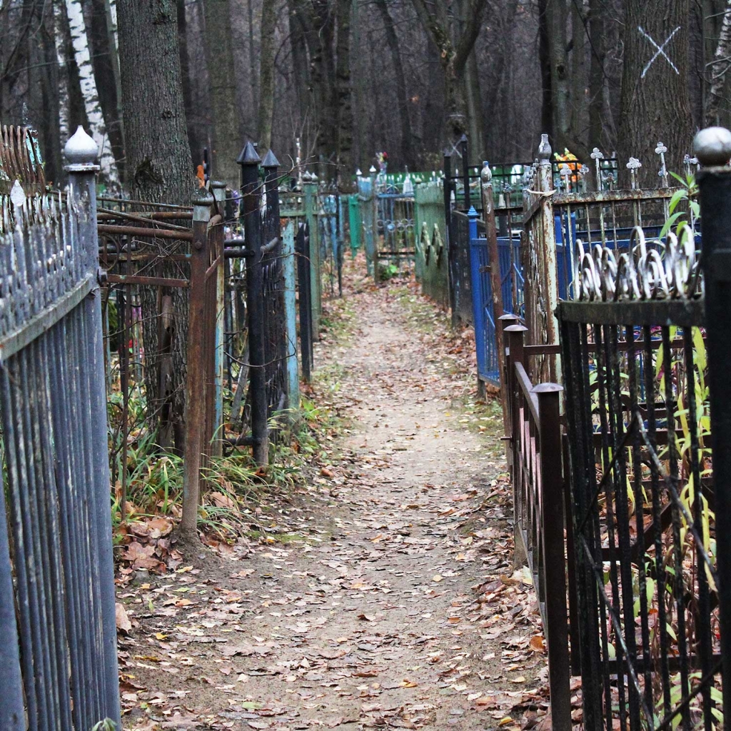 Гольяново кладбище в Москве